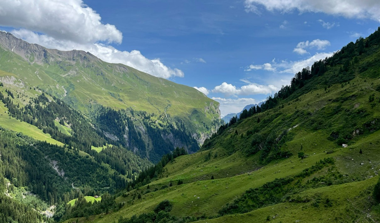 Alpen im Calfeisental